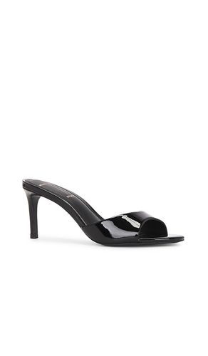 SUEDE STUDIO MULES FREDDIE 65 en . Taille 36. Also en 37, 38, 35 - BLACK SUEDE STUDIO - Modalova