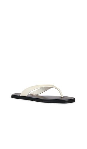 SANDALES BAE en . Taille 36. Also en 37.5 - BLACK SUEDE STUDIO - Modalova