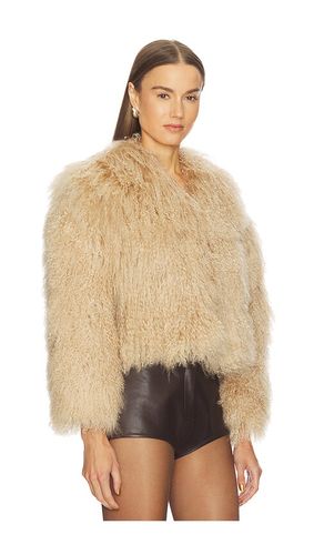 BLOUSON GEORGINA en . Taille S. Also en XS, M, L - Bubish - Modalova
