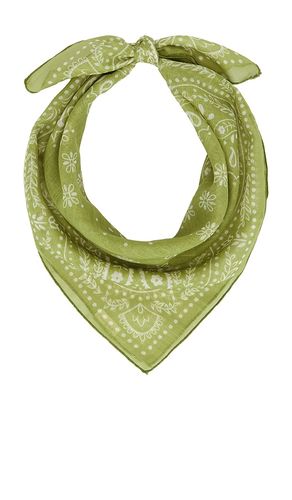 Casa Clara Darcy Scarf en Green - Casa Clara - Modalova