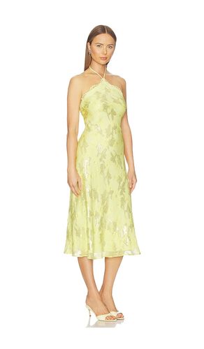 ROBE RUZITA en . Taille XXS. Also en XS, S, L - CAMI NYC - Modalova