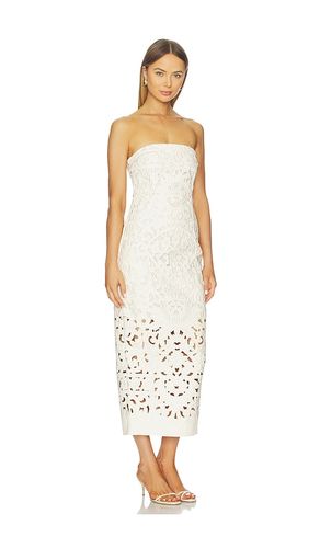 ROBE RAYLENE en . Taille 0. Also en 2, 4, 8 - Cult Gaia - Modalova
