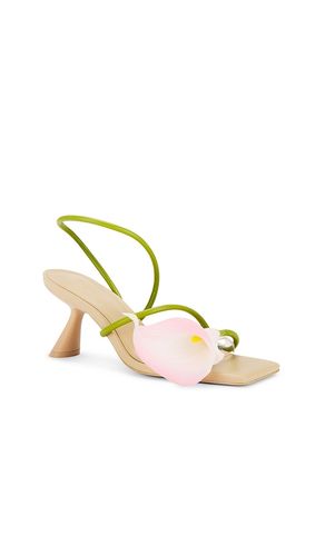 SANDALES RIA en . Taille 36. Also en 37, 38, 39 - Cult Gaia - Modalova