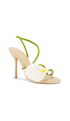 SANDALES CASSIDY en . Taille 36. Also en 37, 38, 39, 40, 36.5 - Cult Gaia - Modalova