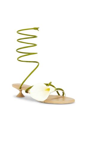 SANDALES CLAIRE en ,. Taille 36. Also en 37, 37.5, 38 - Cult Gaia - Modalova