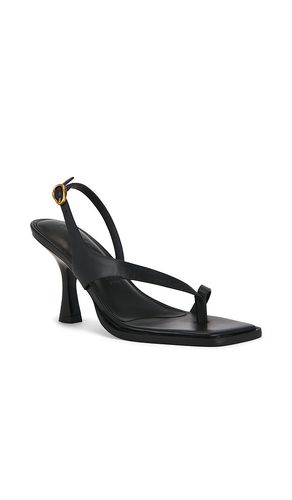 SANDALES PAXTON en . Taille 38. Also en 39 - Cult Gaia - Modalova