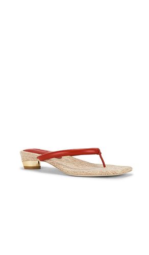 SANDALES SIERRA en . Taille 36. Also en 39, 39.5 - Cult Gaia - Modalova
