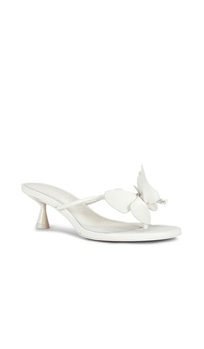 SANDALES ADDISON en . Taille 37. Also en - Cult Gaia - Modalova