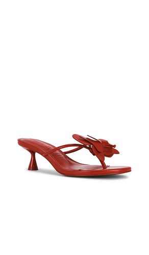 SANDALES ADDISON en . Taille 37.5. Also en 39.5 - Cult Gaia - Modalova