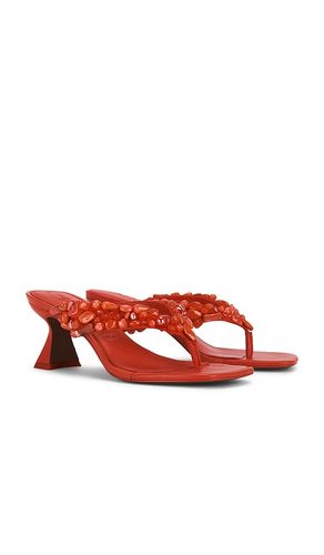 SANDALES ABI en . Taille 36. Also en 37.5, 38, 39 - Cult Gaia - Modalova