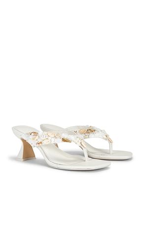 SANDALES ABI en . Taille 36. Also en 37.5, 38.5, 39.5 - Cult Gaia - Modalova