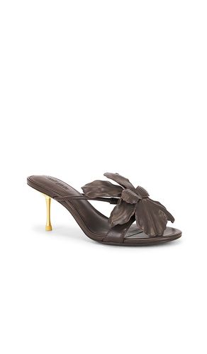 SANDALES VALORIA en . Taille 36. Also en 35, 35.5, 36.5, 37, 37.5, 38, 38.5, 39.5 - Cult Gaia - Modalova