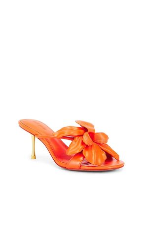 SANDALES VALORIA en . Taille 35. Also en 37, 37.5, 38, 38.5, 39.5 - Cult Gaia - Modalova