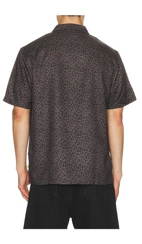 CHEMISE CAT en . Taille L. Also en M, S - Duvin Design - Modalova