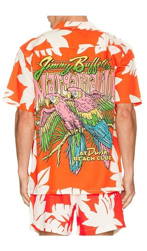 CHEMISE NA en . Taille L. Also en M, S, XL/1X - Duvin Design - Modalova