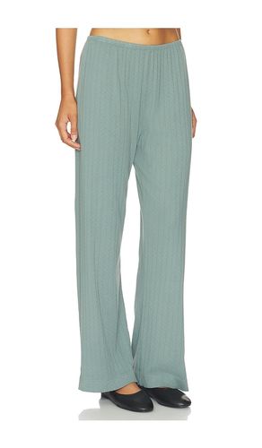 PANTALON CROPPED EN POINTELLE en . Taille M. Also en S, XS - DONNI. - Modalova