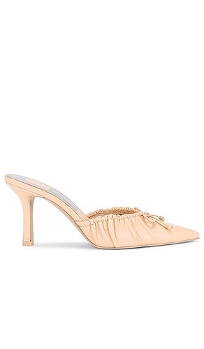 MULES KAIRI in . Size 9.5 - Dolce Vita - Modalova