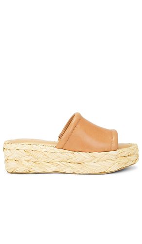 SANDALES CHAVI in . Size 7.5, 8, 8.5, 9.5 - Dolce Vita - Modalova