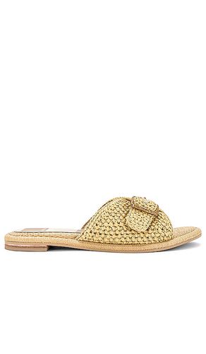 SANDALES ALONZO RAFFIA in . Size 6.5 - Dolce Vita - Modalova