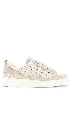 SNEAKERS NICONA in . Size 6.5, 7 - Dolce Vita - Modalova