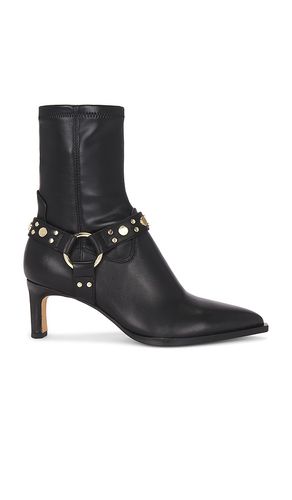 BOTTINES ARYA HARNESS in . Size 6, 6.5, 7, 7.5, 8, 8.5 - Dolce Vita - Modalova