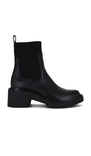 BOTTINES HILORA H20 in . Size 6.5, 7.5, 8, 8.5, 9, 9.5 - Dolce Vita - Modalova