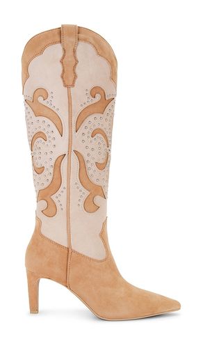 BOTTINES FINLEY STUD in . Size 6.5, 7.5, 8, 8.5, 9.5 - Dolce Vita - Modalova