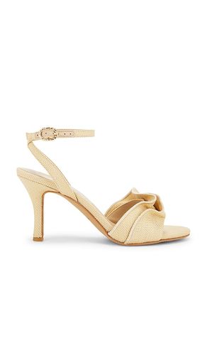 ESCARPINS LUNETE en . Taille 10. Also en - Dolce Vita - Modalova