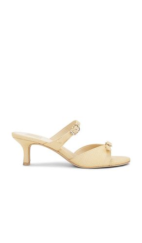 ESCARPINS LORALI in . Size 6, 6.5, 7.5, 8, 8.5 - Dolce Vita - Modalova