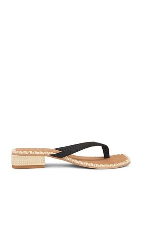 SANDALES BARTY in . Size 8.5, 9.5 - Dolce Vita - Modalova
