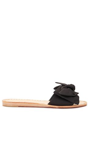 SANDALES DARSEY in . Size 6.5, 8, 8.5 - Dolce Vita - Modalova