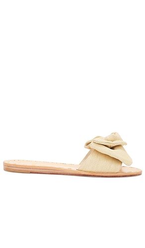SANDALES DARSEY in . Size 9 - Dolce Vita - Modalova