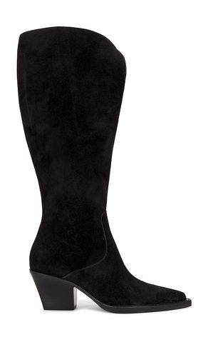 Raj Wide Calf Boot in . Size 6.5, 7, 7.5, 8 - Dolce Vita - Modalova