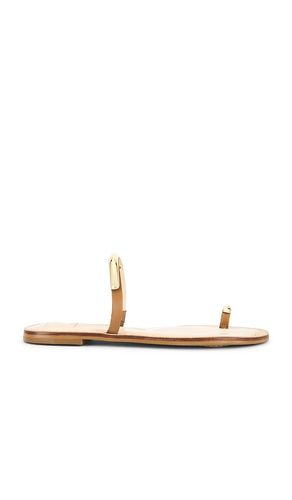 SANDALES WINK in . Size 6.5, 7, 7.5, 8, 8.5, 9 - Dolce Vita - Modalova