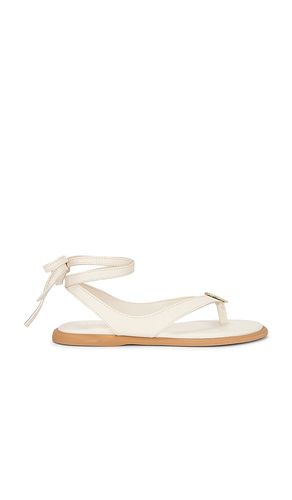 SANDALES JUDY in . Size 8, 8.5, 9.5 - Dolce Vita - Modalova