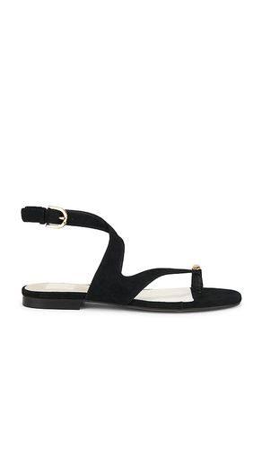 SANDALES EARLA en . Taille 10. Also en 6, 6.5, 7, 7.5, 8, 8.5, 9.5 - Dolce Vita - Modalova