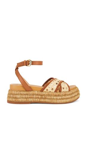SANDALES WRILEY in . Size 6, 6.5, 7, 7.5, 8, 8.5, 9, 9.5 - Dolce Vita - Modalova