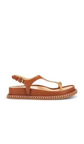 SANDALES STEFFAN en . Taille 6. Also en 7, 7.5, 8, 8.5, 9, 9.5 - Dolce Vita - Modalova