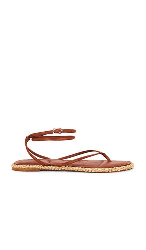 SANDALES COVE in . Size 6, 6.5, 7, 7.5, 8, 8.5, 9, 9.5 - Dolce Vita - Modalova
