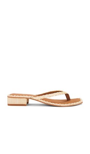 SANDALES BARTY en . Taille 6.5. Also en 7.5 - Dolce Vita - Modalova
