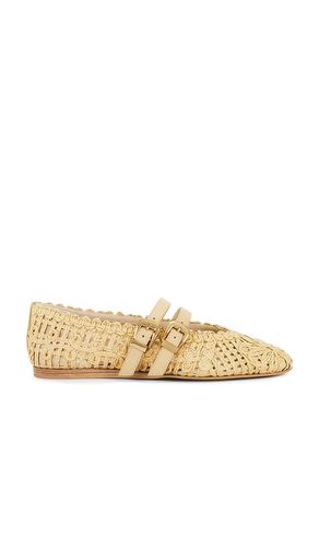 PLAT BAYLEE SUNFLOWER in . Size 6, 6.5, 7, 7.5, 8, 8.5, 9, 9.5 - Dolce Vita - Modalova