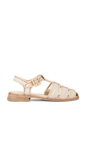 SANDALES HOLIS MESH in . Size 6.5, 7, 7.5, 8, 8.5, 9, 9.5 - Dolce Vita - Modalova