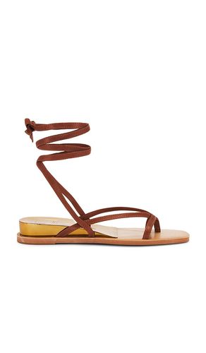 SANDALES RUDIE in . Size 6, 6.5, 7, 7.5, 8, 8.5, 9 - Dolce Vita - Modalova