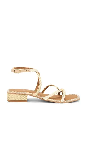 SANDALES BRINN in . Size 6, 6.5, 7, 7.5, 8, 8.5, 9, 9.5 - Dolce Vita - Modalova