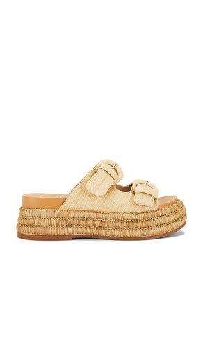 SANDALES WITNY in . Size 6.5, 7, 7.5, 8, 8.5, 9.5 - Dolce Vita - Modalova