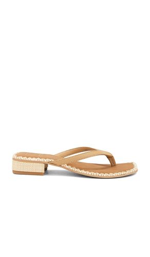 SANDALES BARTY en . Taille 6. Also en 6.5, 8.5, 9 - Dolce Vita - Modalova