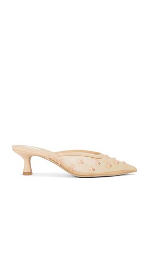 ESCARPINS CLARA in . Size 6, 6.5, 7.5, 9, 9.5 - Dolce Vita - Modalova