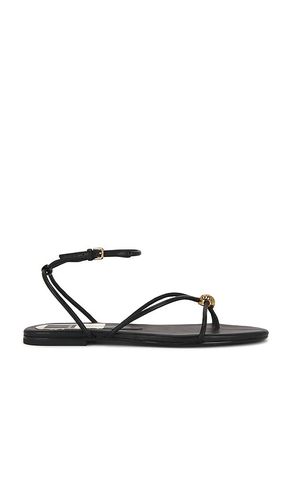 SANDALES KENLEY en . Taille 7. Also en 7.5, 8, 9 - Dolce Vita - Modalova