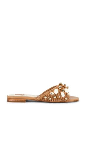SANDALES LIZZA en . Taille 6. Also en 6.5, 7, 7.5, 8, 8.5, 9.5 - Dolce Vita - Modalova