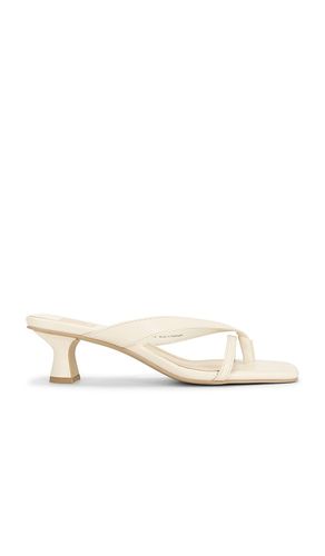 SANDALES BREVEL en . Taille 6. Also en 7 - Dolce Vita - Modalova